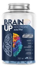 LONGEVIDADE E PREVENÇÃO TRUE BRAIN UP AM/PM 60 TABLETES - TRUE SOURCE