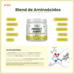 AMINOACIDO PERFECT AMINO CITRUS RUSH 360G - Imagem 2