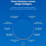 Melatonin Duo (Menta) 120 Comp Essential - Imagem 4