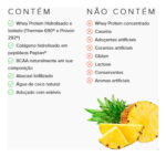 Pineapple Whey Display 450g/15Ds - Imagem 7