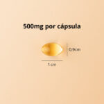 Super Omega 3 TG 500MG 240 Caps - Imagem 5