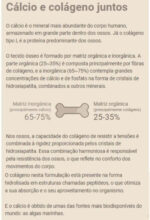 Collagen Bones Lata 483g/30Ds Essential - Imagem 4